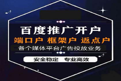 电商SEM推广案例解析